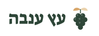 Translation missing: he-IL.accessibility.home_logo_alt